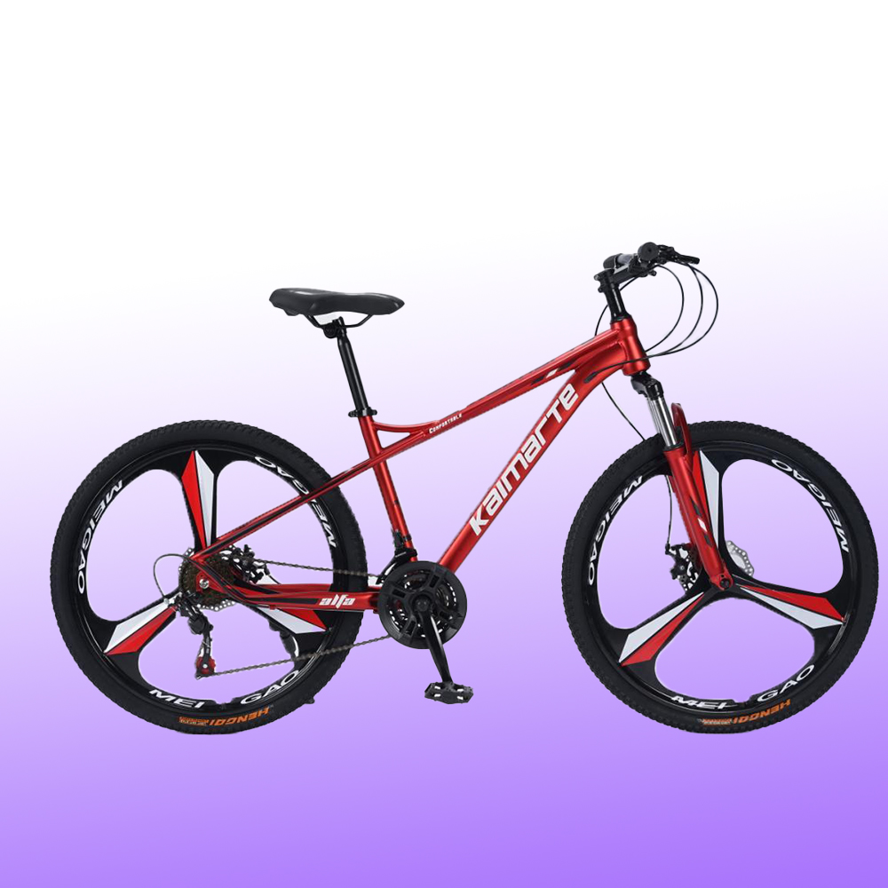 OEM Maßgefertigtes 26 27,5 29  – Mountain Biking Europe Bewertung und Preis